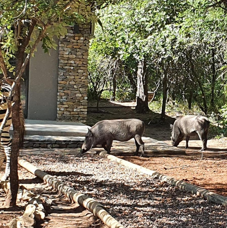 Luvivane Luxury Villa Marloth Park Exterior photo